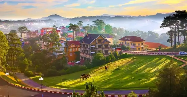 Đà Lạt lễ 2/9: Thời tiết, địa điểm và mẹo du lịch hữu ích