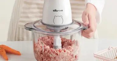 Máy xay thịt Bear có tốt không? Nên mua hay không?