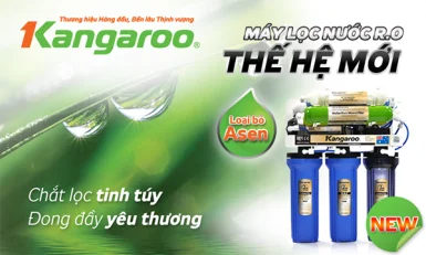 Không trang bị máy lọc nước, người dùng vô tình tự giết mình khi sử dụng nguồn nước bẩn mỗi ngày