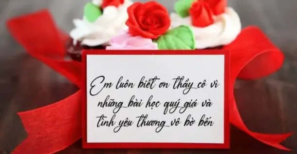 Gợi ý 99+ Lời cảm ơn 20/11 hay, cảm động, ý nghĩa