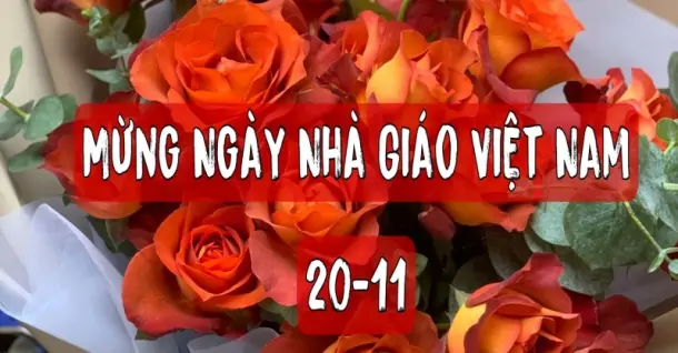 Gợi ý 15 Loài hoa ý nghĩa chúc mừng ngày Nhà giáo Việt Nam 20/11
