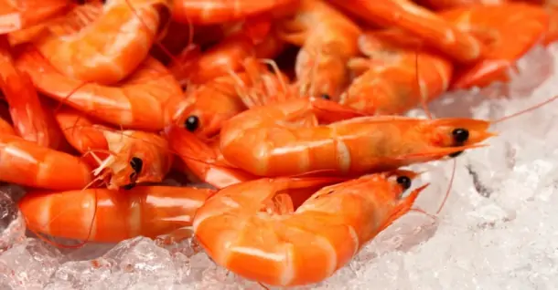 Cách bảo quản tôm đã luộc trong tủ lạnh giúp giữ vị tươi ngon