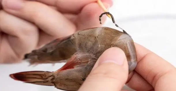 Cách lấy chỉ tôm nhanh gọn chỉ với vài bước đơn giản