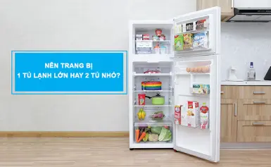 Nhiều thực phẩm cần bảo quản, nên trang bị 1 tủ lạnh lớn hay 2 tủ nhỏ?