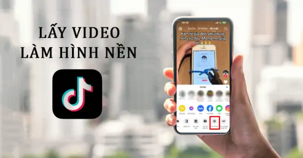 Dùng video TikTok làm hình nền điện thoại: Cực độc đáo và thú vị