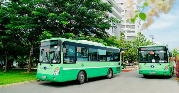 Cách tra cứu tuyến xe buýt TPHCM chi tiết, nhanh chóng