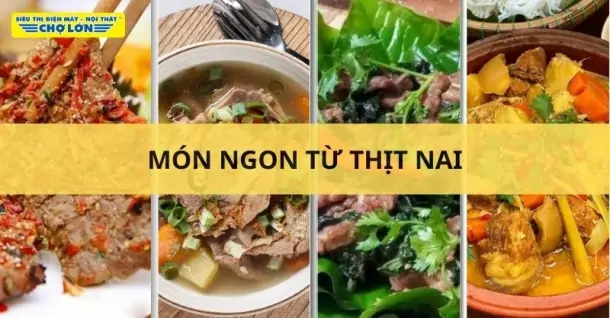 Thịt nai làm gì ngon? Tổng hợp 9 món ngon từ thịt nai hấp dẫn