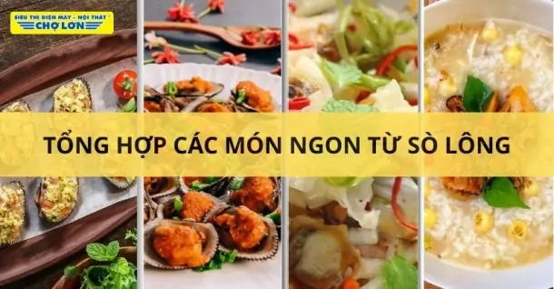 Sò lông làm món gì ngon? Tổng hợp 13 Món ăn hấp dẫn