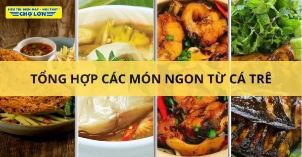 Cá trê làm món gì ngon? Gợi ý 15+ Món ngon từ cá trê