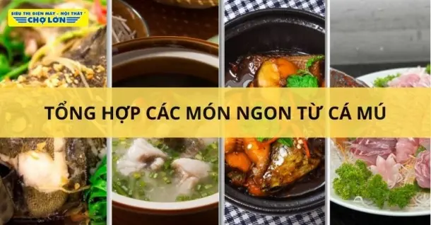 Cá mú làm món gì ngon? Tổng hợp 11 Món đơn giản, dễ làm