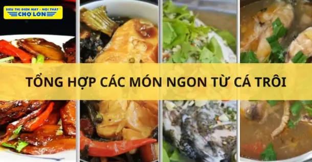 Cá trôi làm món gì ngon? 9 Món ngon hấp dẫn từ cá trôi