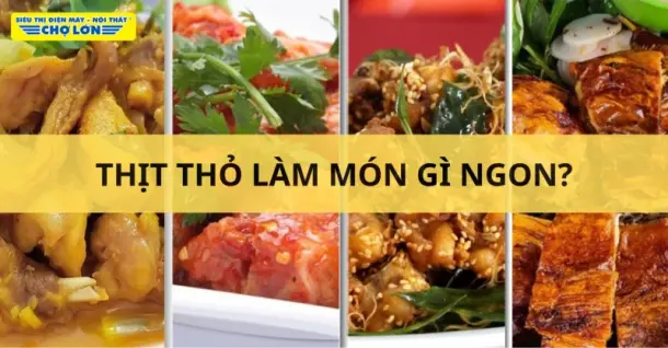 Thịt thỏ làm món gì ngon? Tổng hợp 9+ Món ăn hấp dẫn, dễ làm