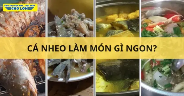 Cá nheo làm món gì ngon? Gợi ý 7 Món ăn ngon từ cá nheo