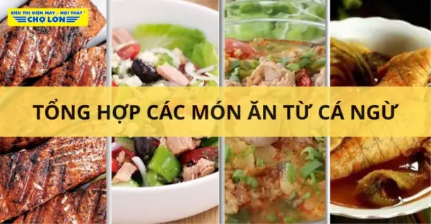 Cá ngừ làm món gì ngon? Tổng hợp 11 Món bổ dưỡng từ cá ngừ