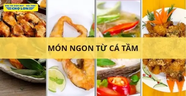 Cá tầm làm món gì ngon? Tổng hợp 12 Món hấp dẫn từ cá tầm
