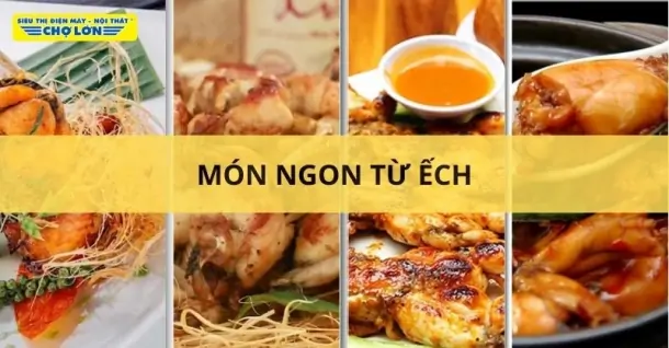 Ếch làm món gì ngon? Gợi ý 19 Món đơn giản, dễ làm từ ếch