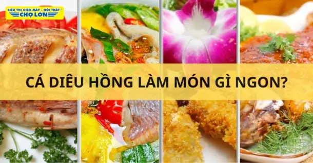 Cá diêu hồng làm món gì ngon? Gợi ý 15 Món ăn hao cơm, hấp dẫn
