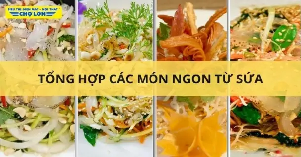 Sứa làm món gì ngon? Gợi ý 15 món ngon hấp dẫn từ sứa