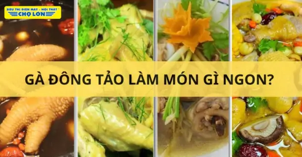 Gà Đông Tảo làm món gì ngon? Gợi ý 9 Món ăn bổ dưỡng