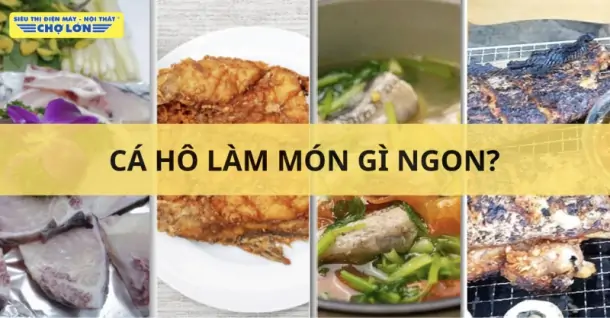 Cá hô làm món gì ngon? Gợi ý 7 món ngon hấp dẫn từ cá hô
