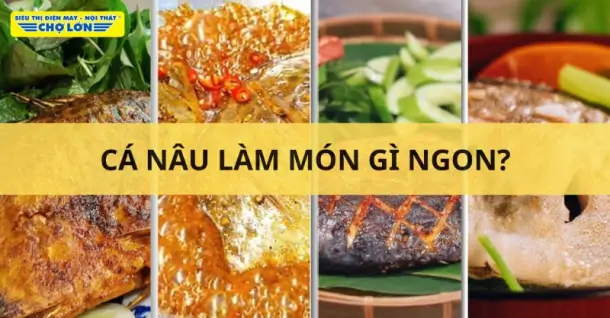 Cá nâu làm món gì ngon? Tổng hợp 11 Món ăn từ cá nâu
