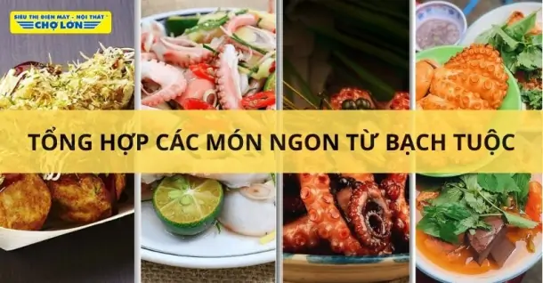 Bạch tuộc làm món gì ngon? Gợi ý 18 món ngon hấp dẫn từ bạch tuộc