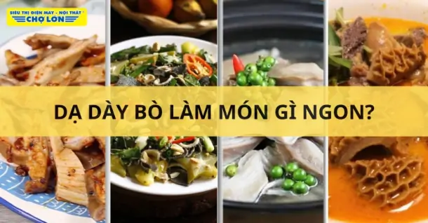 Dạ dày bò làm món gì ngon? Gợi ý 7 Món ăn cực hấp dẫn, dễ làm