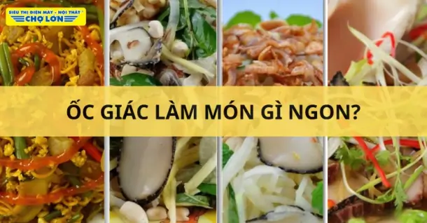 Ốc giác làm món gì ngon? Gợi ý 12 món ngon từ ốc giác