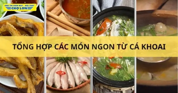 Cá khoai nấu món gì ngon? Tổng hợp 6 món ngon từ cá khoai