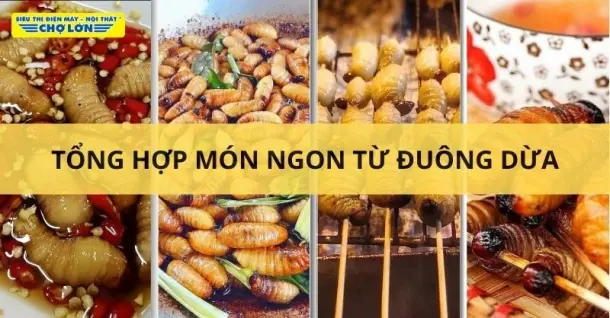 Đuông dừa làm món gì ngon? Gợi ý 8 món ngon từ đuông dừa