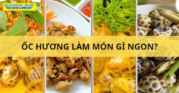 Ốc hương làm món gì ngon? Gợi ý 10 món ngon hấp dẫn