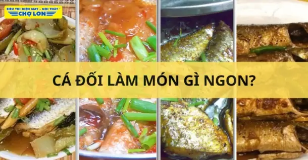 Cá đối làm món gì ngon? Gợi ý 11 Món ăn hấp dẫn từ cá đối