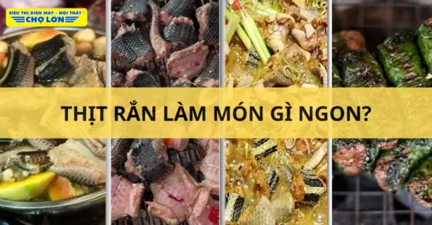 Thịt rắn làm món gì ngon? Tổng hợp 13 Món ăn hấp dẫn
