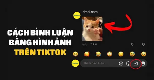 Cách bình luận bằng ảnh trên TikTok cực dễ ai cũng làm được