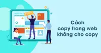Hướng dẫn c&aacute;ch copy nội dung trang web kh&ocirc;ng cho copy