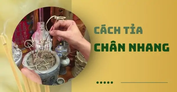 Cách tỉa chân nhang đúng, không phạm phong thủy, tránh mất tài lộc