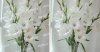 C&aacute;ch x&oacute;a watermark trong ảnh đơn giản, nhanh ch&oacute;ng