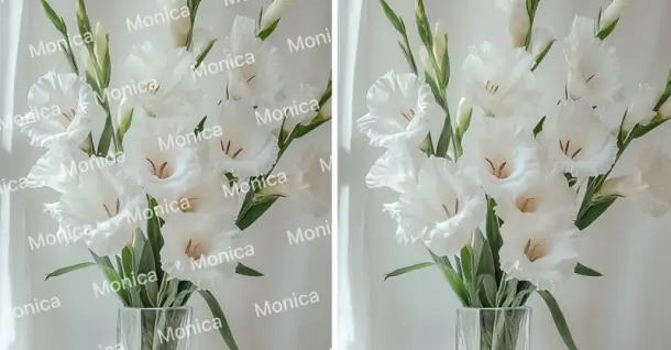 Cách xóa watermark trong ảnh đơn giản, nhanh chóng