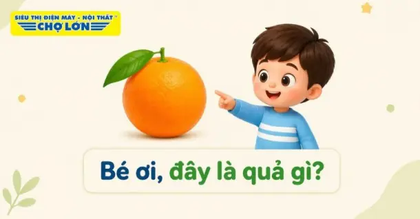 20+ câu đố về quả cam mới lạ, vui nhộn cho bé