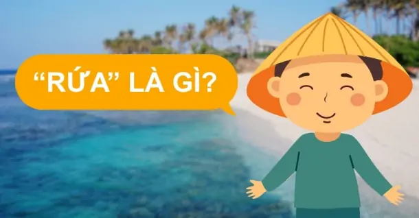 Rứa là gì? Mô tê răng rứa là gì? Giải mã ý nghĩa từ rứa