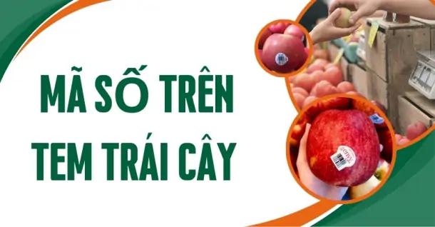 Ý nghĩa những mã số trên tem trái cây mà bạn nên biết