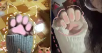 Hướng dẫn c&aacute;ch l&agrave;m trend tay m&egrave;o cute cực hot tr&ecirc;n TikTok