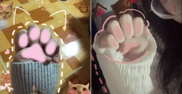 Hướng dẫn cách làm trend tay mèo cute cực hot trên TikTok