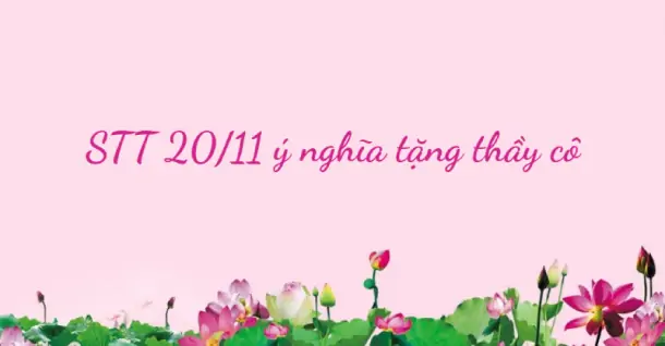 90+ STT 20/11 hay, ý nghĩa dành tặng thầy cô