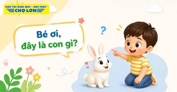 30+ câu đố về con thỏ thú vị cho bé mầm non, tiểu học
