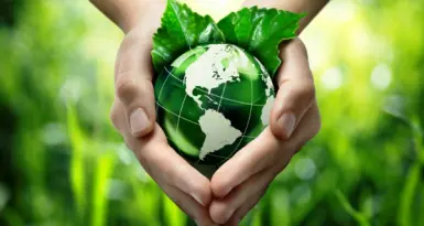 Bật chế độ tiết kiệm điện trên Internet Tivi LG