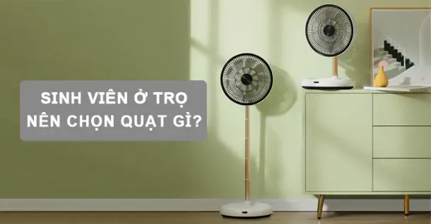 Sinh viên ở trọ nên chọn quạt gì? Gợi ý top quạt rẻ, mát, bền bỉ
