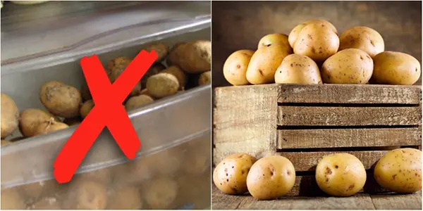 Cho các thực phẩm quen thuộc này vào tủ lạnh, bạn đã vô tình biến chúng thành chất độc