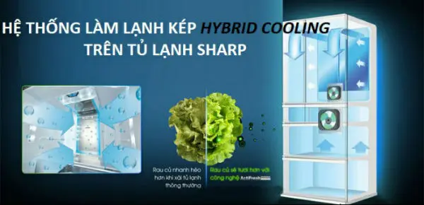 Tìm hiểu hệ thống làm lạnh kép Hybrid Cooling trên tủ lạnh Sharp