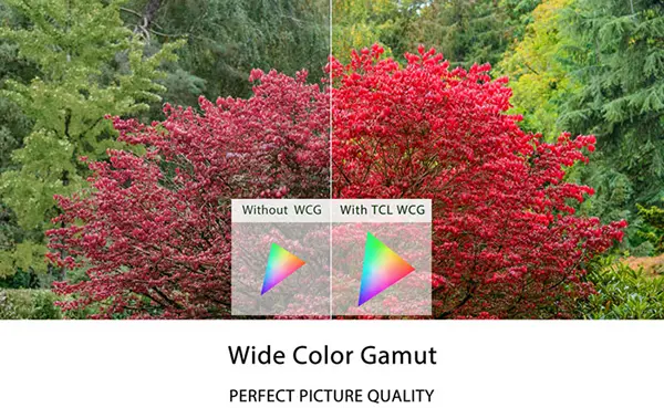 Công nghệ Wide Colour Gamut trên tivi TCL là gì?